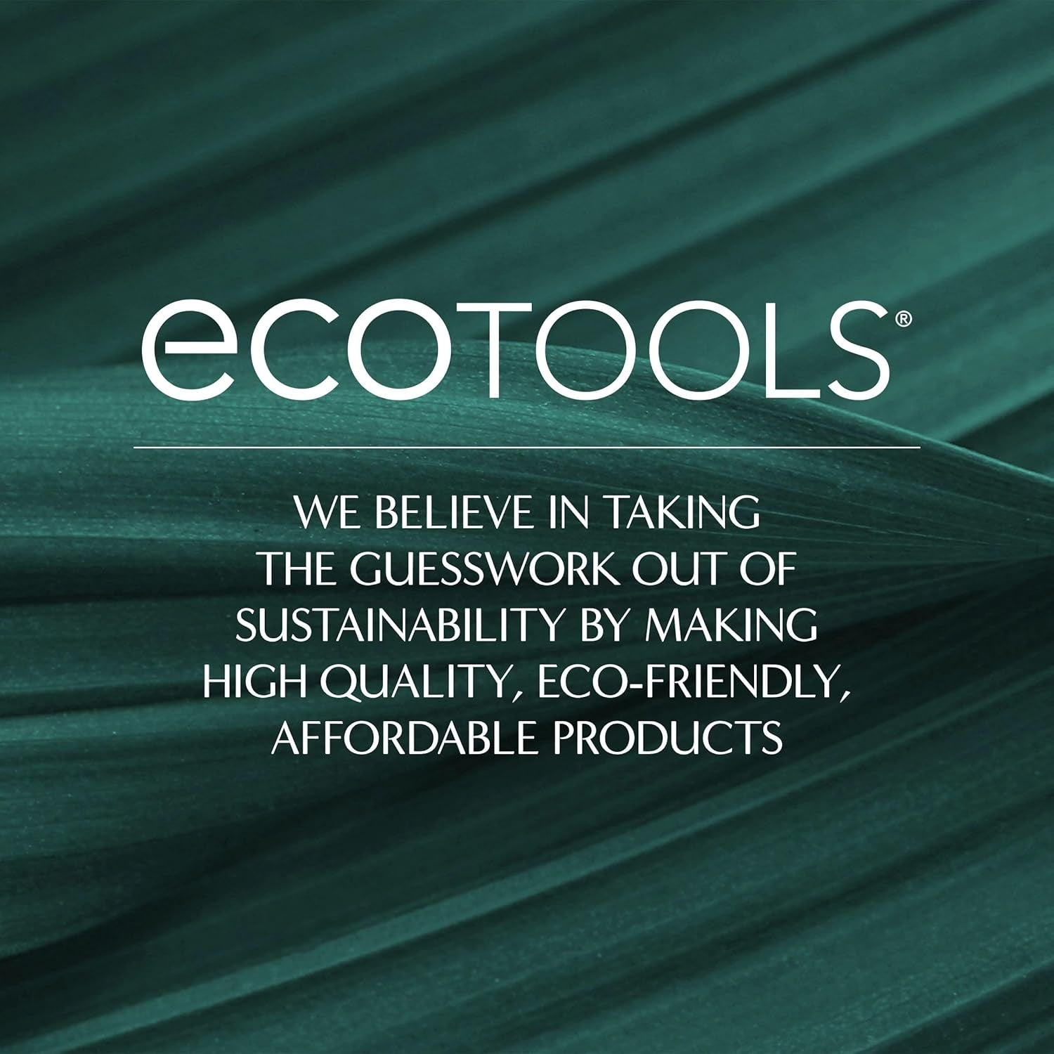 Ecotools Dry Body Brush, Cruelty-Free Bristles Exfoliate & Smooth Skin, Dry Brushing Removes Flaky Skin, May Help Improve Circulation & Tone, Eco-Friendly Skincare Tool, Vegan & Cruelty-Free, 1 Count