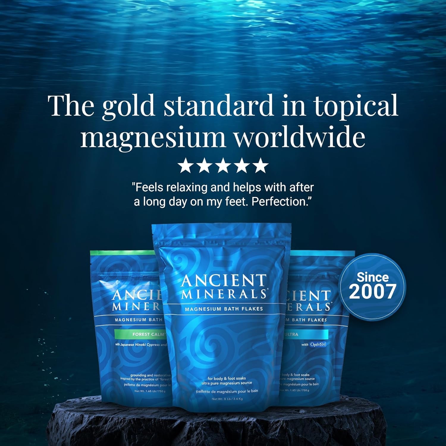 Ancient Minerals Magnesium Bath Flakes of Pure Genuine Zechstein Chloride - Resealable Magnesium Supplement Bag That Will Outperform Leading Epsom Salts 1.65 Lbs